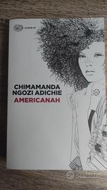 " Americanah " (Chimamanda Ngozi Adichie)