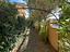 Immagine 11