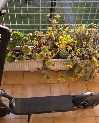 Monopattino Navee V40i Pro praticamente nuovo