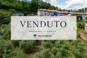 3 LOCALI A POLPENAZZE DEL GARDA