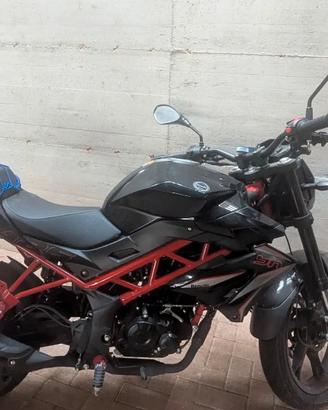 Benelli BN125