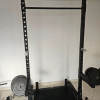 Home gym lacertosus