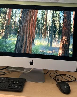 Imac 21.5 pollici Sequoia 15.8