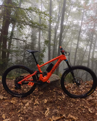 E-bike Specialized Turbo Kenevo SL 29 Fox 170 AXS