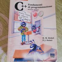 C++ Fondamenti di Programmazione 