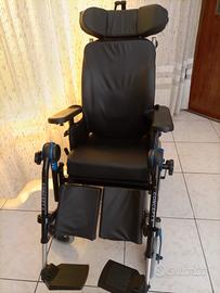 sedia a rotelle 