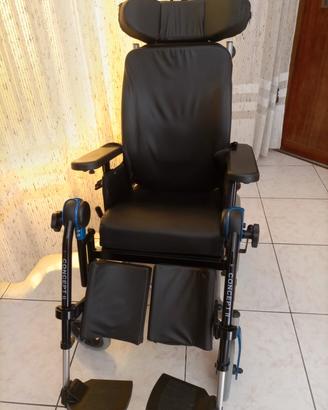 sedia a rotelle 