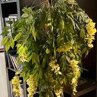 Pianta artificiale decorativa da interno