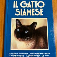 Il gatto siamese