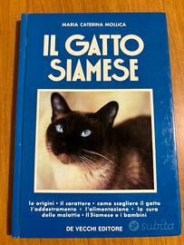 Il gatto siamese