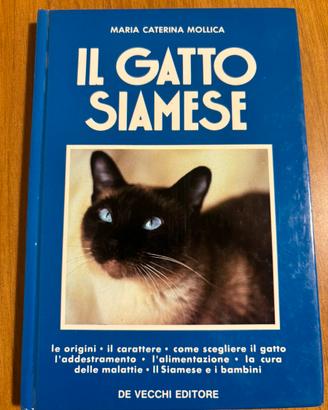 Il gatto siamese