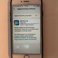 Iphone 8 con 256 GB e batteria 100%