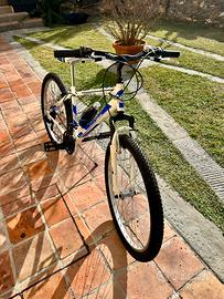Bicicletta montainbike mtb ragazzo adulto 3+6 mare