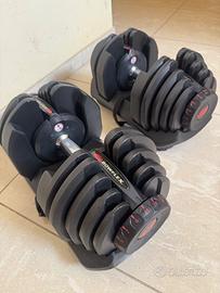 Manubri Bowflex 1090i (da 4 a 41 kg)