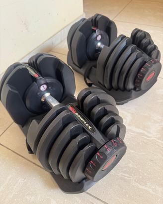 Manubri Bowflex 1090i (da 4 a 41 kg)