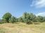 Immagine 7