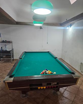 Tavolo da Biliardo Professionale da Taverna / Sala