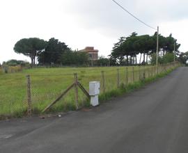 ALBANO, Terreno via di Villafranca mq. 4.000