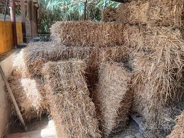 Fieno avena/sulla