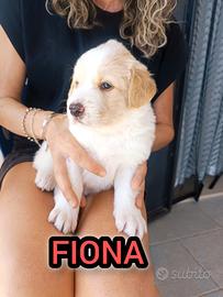 Fiona cucciolina da spuppazzare