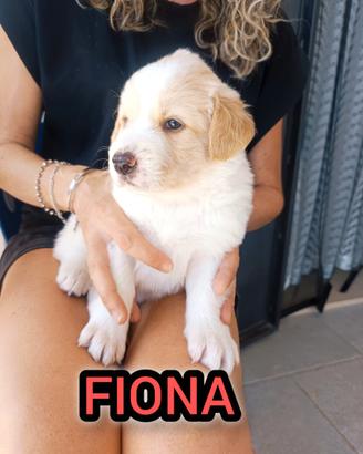 Fiona cucciolina da spuppazzare