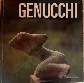 Giovanni Genucchi Museo di Blenio