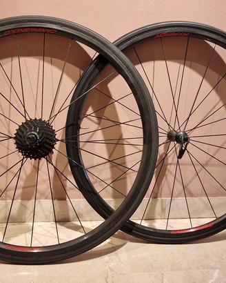 Cerchi bici Campagnolo