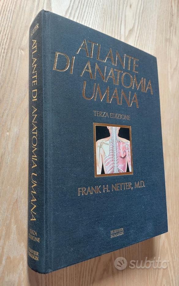 Faringe tavola Netter Atlante Anatomia - Deambulatore Subito