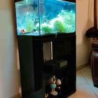 acquario con mobile 
