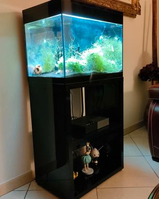 acquario con mobile 