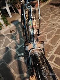 bicicletta marca bianchi