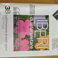 Liberi di interpretare, volume 3b