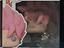Immagine 6