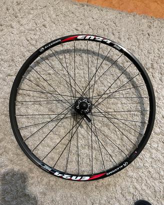Ruota MTB Alexrims EN24 Disc