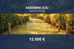 Immobile in asta di 1564 m² a Assemini