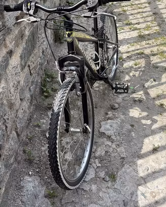 Bici Bottecchia ragazzo 24”