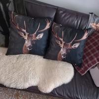 Alpine design cuscini cervo