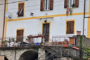 Semindipendente a Rocchetta di Vara