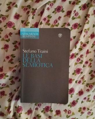 libro le basi della semiotica 