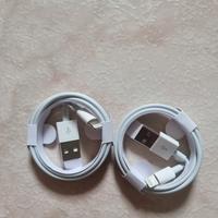 Due Cavi Ricarica Iphone Usb-c