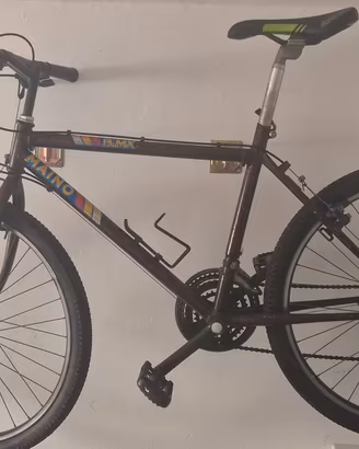 bici uomo mountain bike