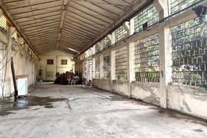 CAPANNONE A CONSELVE