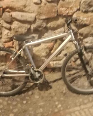 bici.  in. alluminio.  