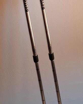 Bastoni per trekking 