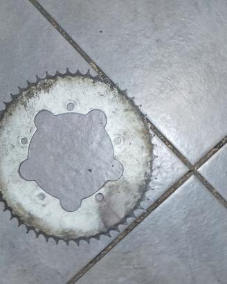 corona posteriore beta 51 denti