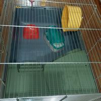 Gabbia per criceti o altri tipi di ratti 