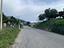 Immagine 21