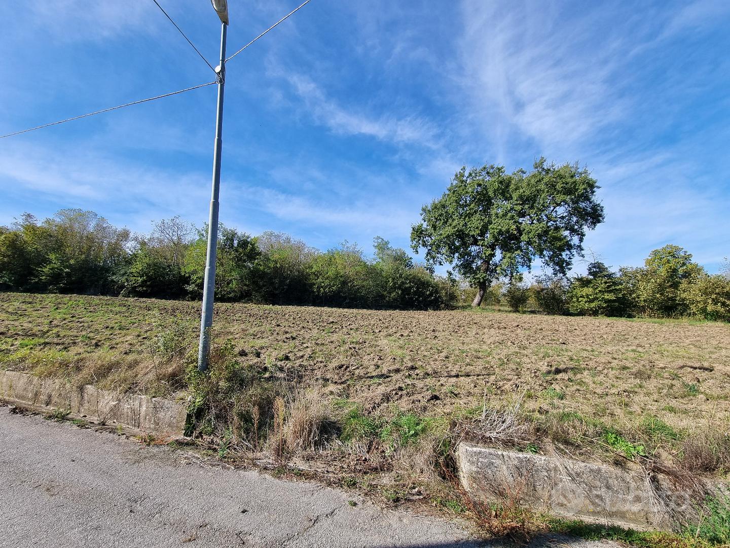 Terreno agricolo pianeggiante e fronte strada - Vista 5