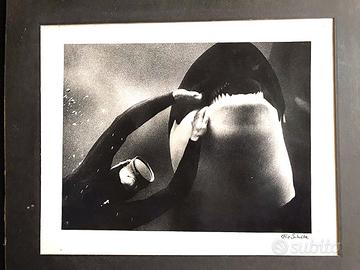 foto originale 1965 firmata  Flip Schulke