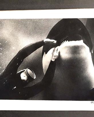 foto originale 1965 firmata  Flip Schulke